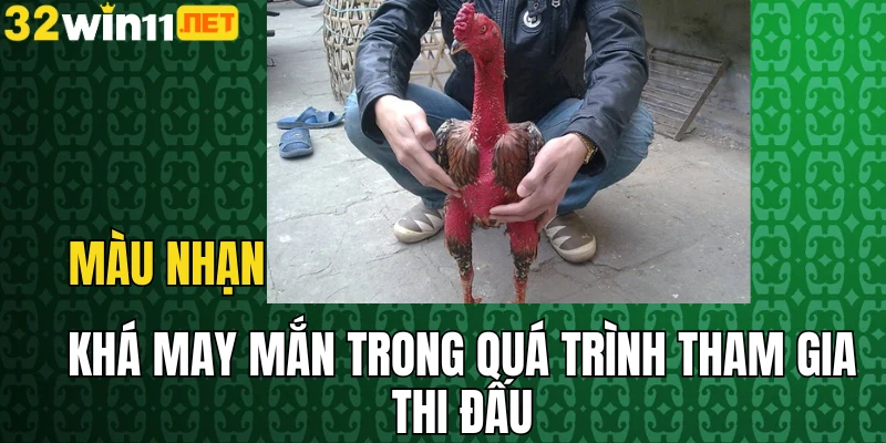 Màu nhạn khá may mắn trong quá trình tham gia thi đấu