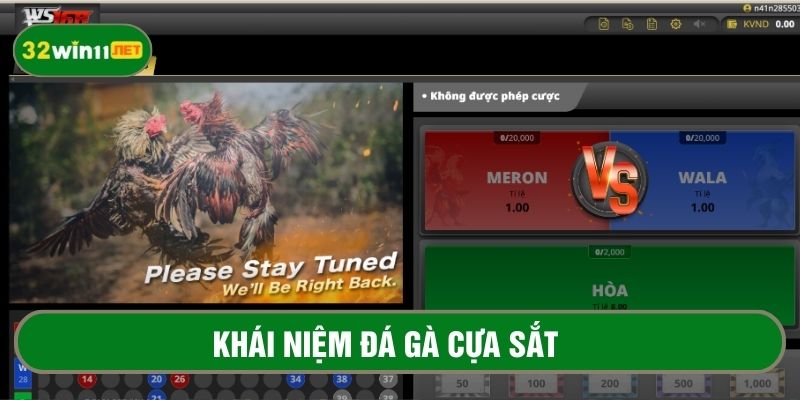 Khái niệm chi tiết về bộ môn đá gà cựa sắt