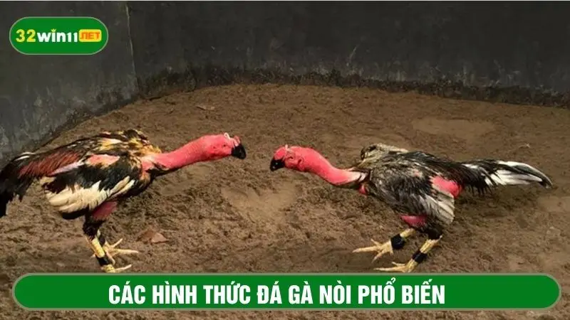 Tổng hợp các hình thức phổ biến có trong bộ môn