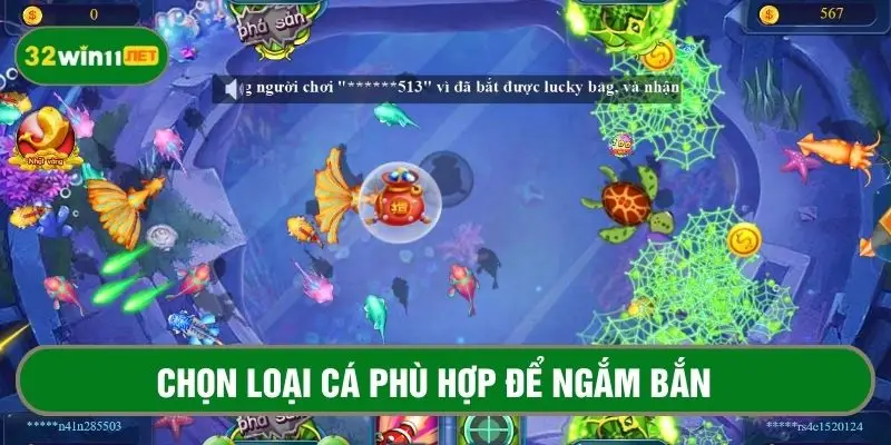 Mẹo chơi bắn cá hiệu quả là biết chọn loại cá phù hợp để ngắm bắn