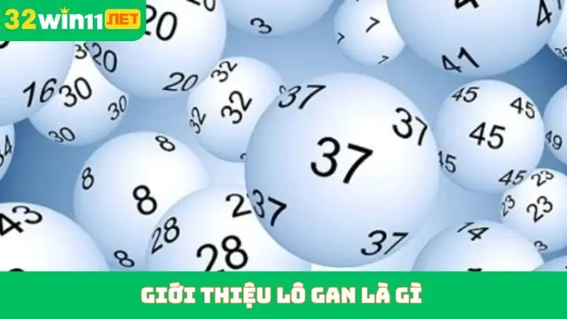 Giới thiệu lô gan là gì