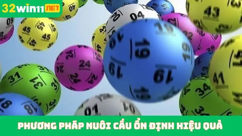 Phương pháp nuôi cầu ổn định hiệu quả